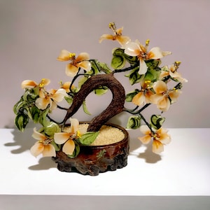 Bonsai Peking Peach and Jade Tree Clay Pot