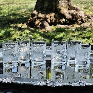 Set of 6 Crystal Etched Cornflower Crystal Shot Vintage Glasses