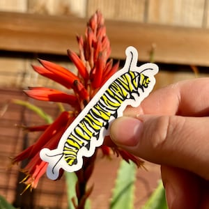 Transparent caterpillar vinyl sticker, waterproof sticker