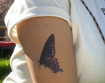 May include: A blue butterfly tattoo with orange and white accents on a person's arm.