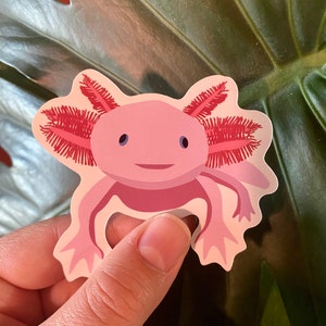 Axolotl Sticker