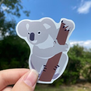 Koala Sticker