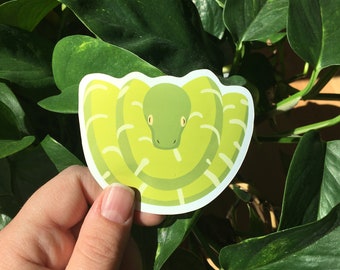 Emerald Tree Boa Snake Sticker