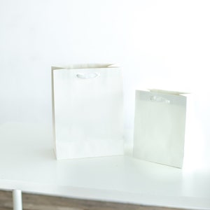 Eurowrap White Kraft Wedding Day Gift Bag: Elevate Your Gift-Giving