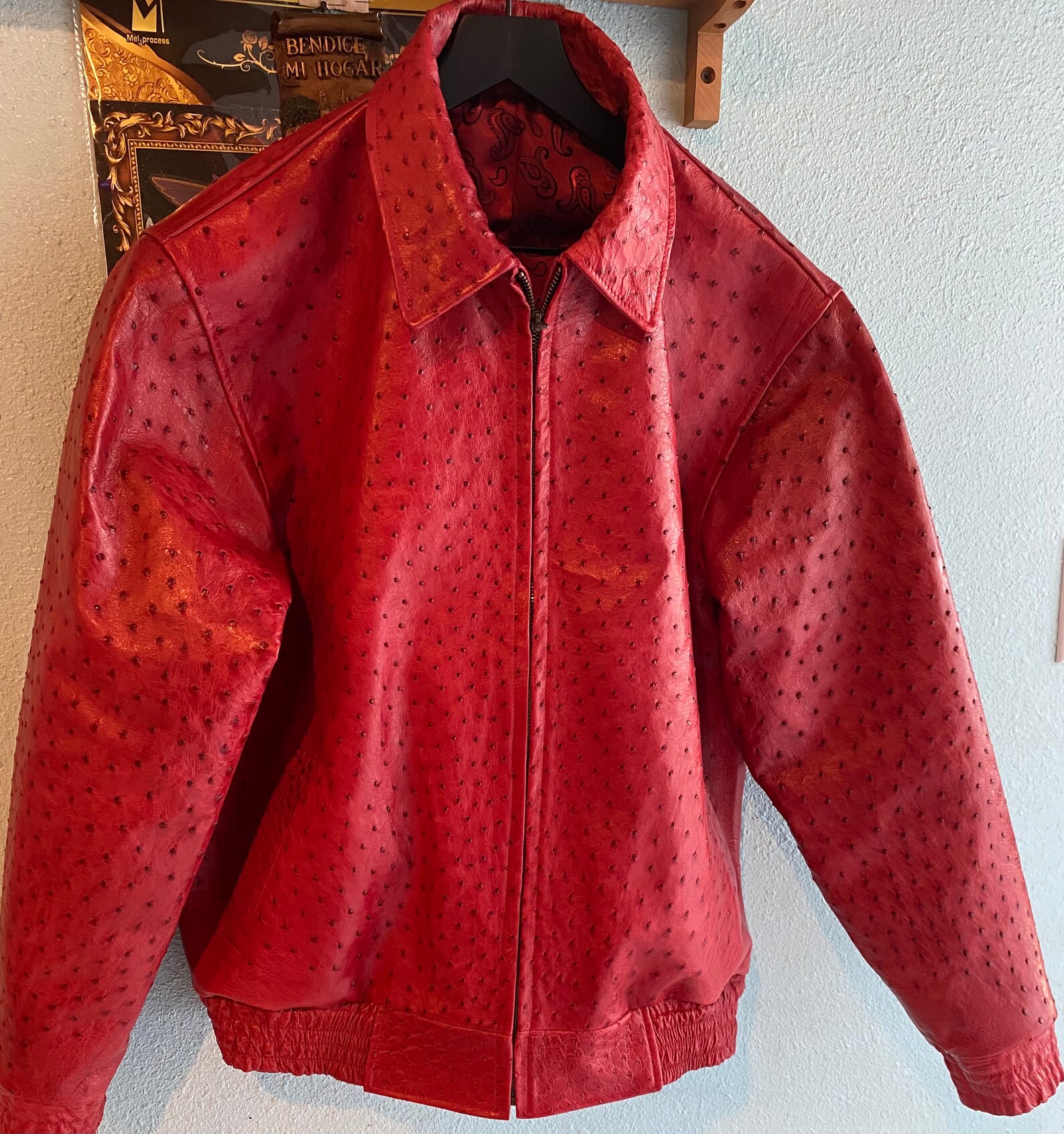 Ostrich Leather Jacket Etsy