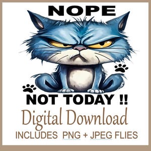 Gato Sarcástico PNG engraçado 'Não Hoje Não' Design de Sublimação, Design Humorístico para Camisetas, Canecas, Bolsas e Muito Mais, Download Instantâneo