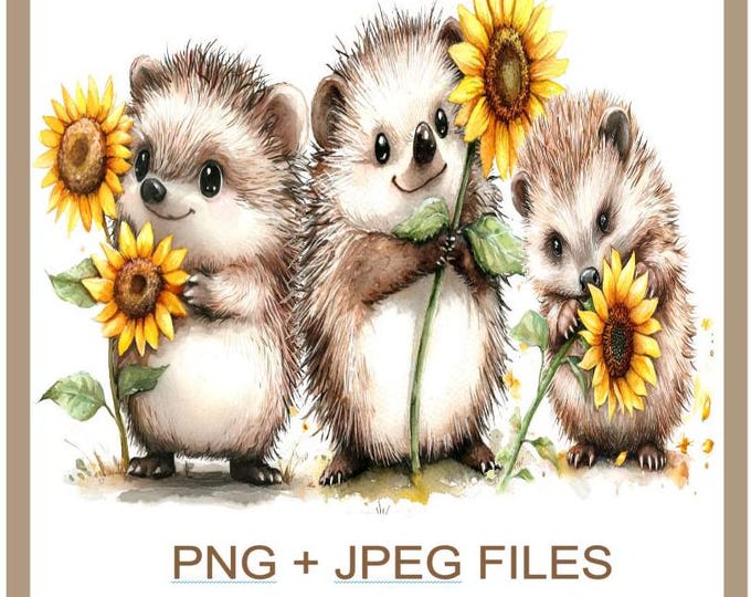 Hedgehog PNG Clipart, Beautiful Animal Cartoon, Cute Hedgehog Design PNG & JPEG Files Instant Digital Download, High Quality Images