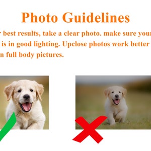 Op de afbeelding: Afbeelding met tekst "Photo Guidelines" en voorbeelden van huisdierfotografie. De tekst adviseert om duidelijke, goed verlichte close-upfoto's te maken voor de beste resultaten. Een vrolijke golden retriever puppy wordt als goed voorbeeld getoond.
