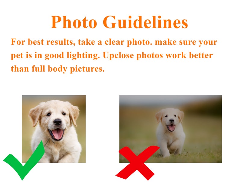 Op de afbeelding: Afbeelding met tekst "Photo Guidelines" en voorbeelden van huisdierfotografie. De tekst adviseert om duidelijke, goed verlichte close-upfoto's te maken voor de beste resultaten. Een vrolijke golden retriever puppy wordt als goed voorbeeld getoond.