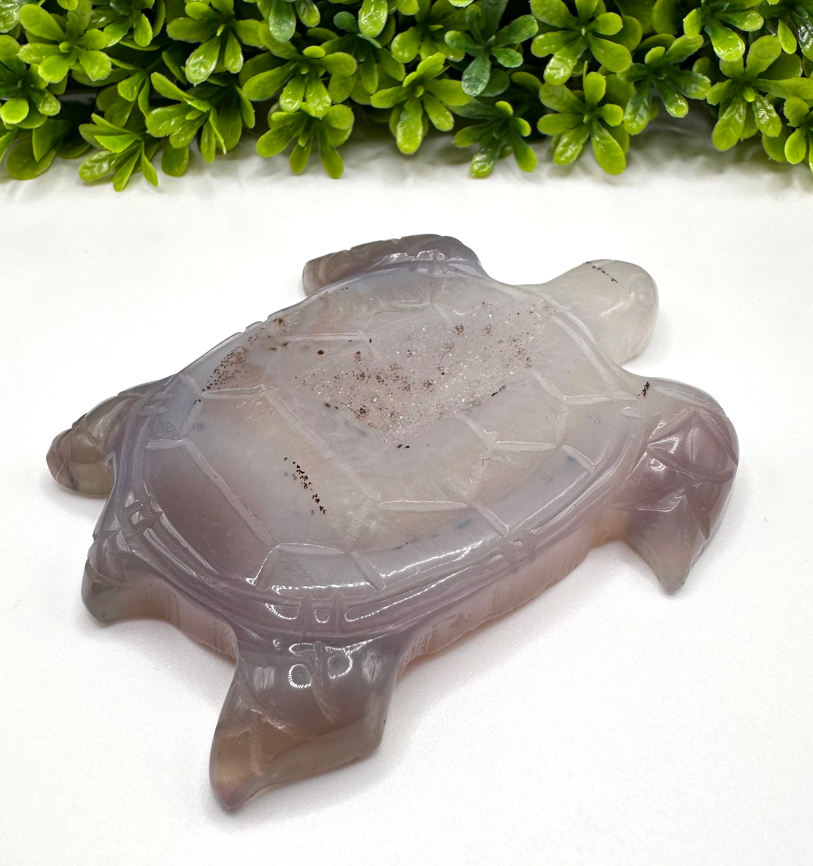 Druzy Agate Turtle Druzy Agate Turtle