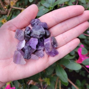 May include: A collection of small, rough amethyst crystals in shades of purple and green. The crystals are in a hand, with the background blurred.