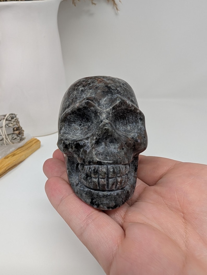 May include: A black and grey carved stone skull with detailed features. The skull is sitting in the palm of a hand.