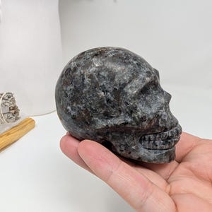 May include: A black and grey granite skull sculpture. The skull is carved in detail and has a smooth, polished finish.