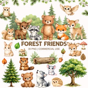 Op de afbeelding: Waterverfillustratie met een verzameling bosdieren, waaronder een beer, een vos, een hert, een uil en een eekhoorn. De afbeelding bevat de tekst "FOREST FRIENDS" en "35 PNG | COMMERCIAL USE". Het kunstwerk heeft een grillige stijl.