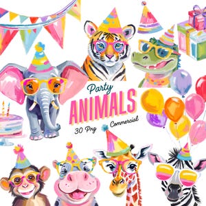 Feestbeest clipart - aquarel - schattige dieren png - hoge kwaliteit - kleurrijke verjaardag clipart - jungledieren - commercieel gebruik