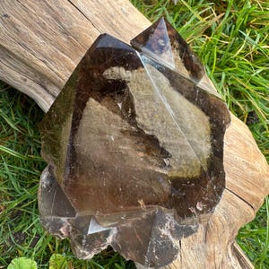 May include: Two faceted, smoky quartz crystal points with a dark brown hue. The crystals are resting on a piece of weathered wood, with green grass in the background. The crystals have a natural, raw appearance.