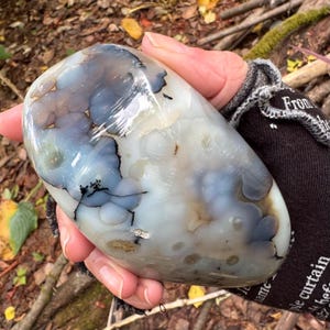 May include: A polished, smooth, oval-shaped agate stone featuring translucent milky white and soft blue hues with distinct botryoidal formations and dark, branching dendritic inclusions throughout the surface of the mineral specimen.