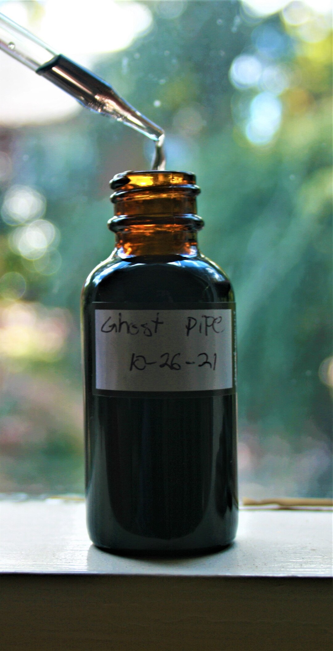 Ghost Pipe Tincture Extra Potent *read Description* Etsy