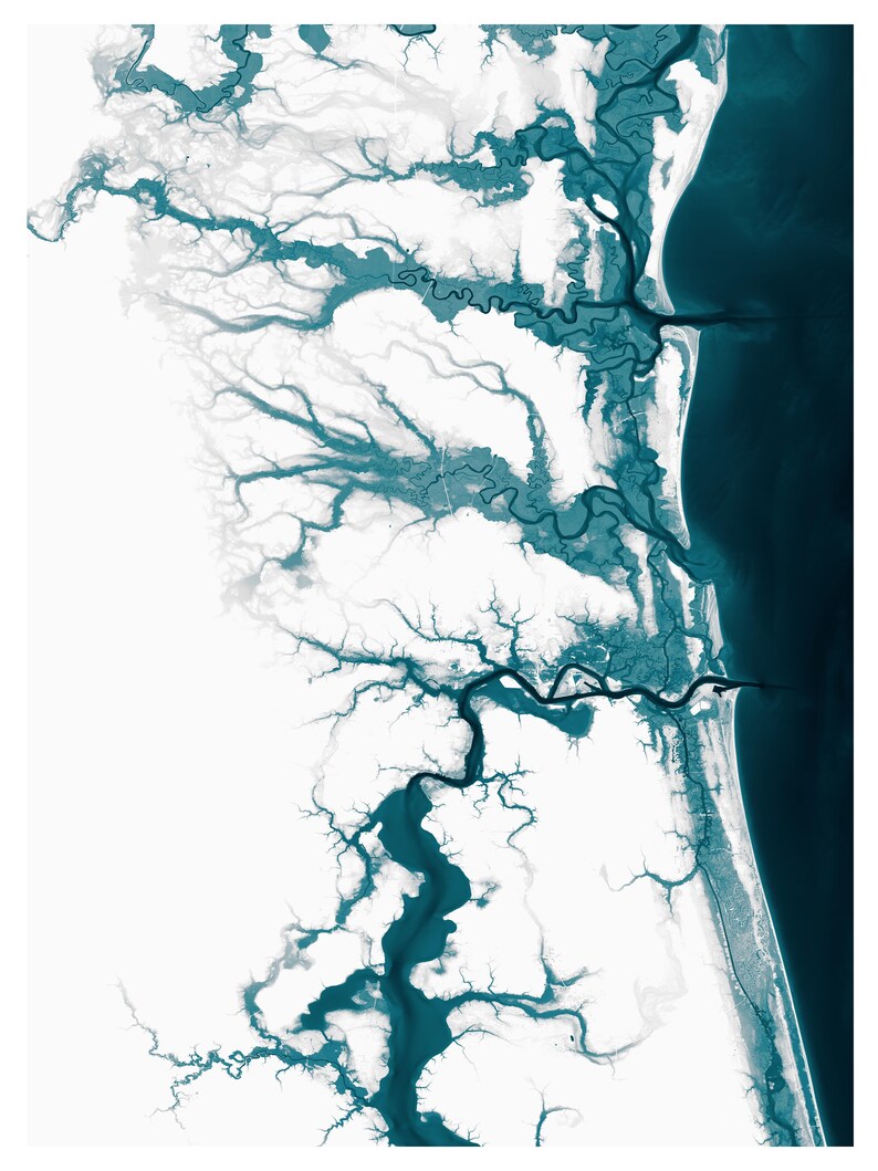 Jacksonville Wall Map Print Giclée on Fine Art Paper Coastal Etsy