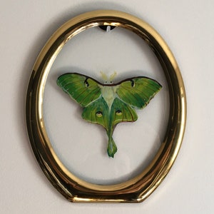 Luna Moth Painting / Butterfly Painting Actias Luna American Silk Moth