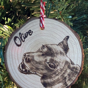 Custom Wood-Burned Pet Portraits on Natural Wood image 5