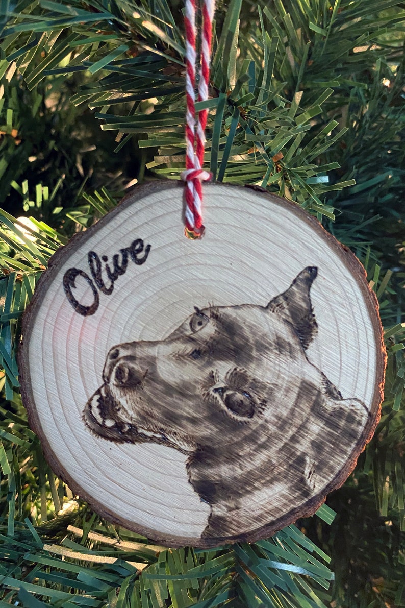 Custom Wood-Burned Pet Portraits on Natural Wood image 5