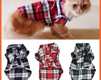 kitten clothes