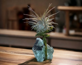 Display di piante d'aria di cristallo di fluorite grezzo / Pianta d'aria / Cristalli / Decorazioni per la casa / Piante / Muschio / Verde / Tillandsia / Dammi muschio / Casa /