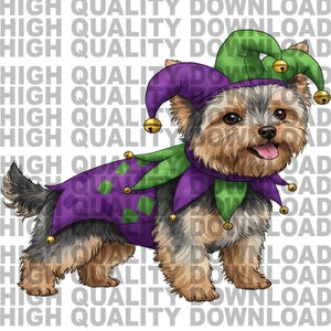 May include: A small, brown and black Yorkshire Terrier dog wearing a purple and green jester costume with gold bells. The dog is standing on a white background.