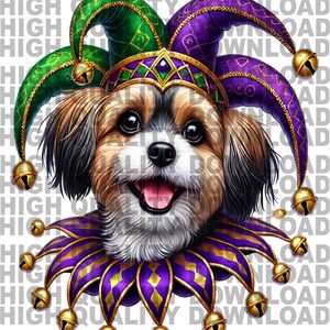 May include: A small, brown and white dog wearing a purple and green jester hat with gold bells. The dog is smiling and has a purple and gold jester collar.