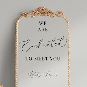 We are Enchanted to Meet You Vinyl Decal for Baby Showers - Cute Backdrop Decal for Baby Showers -  Baby Shower Backdrop Decal