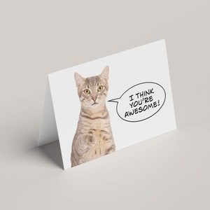I Think You&#39;re Awesome | Greeting Card featuring Meru the Cat