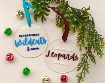 College Graduation Gift | Custom College Mascot Christmas Ornament | College Christmas Ornament | Custom Graduation Gift | Grad Gift