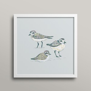 Snowy Plovers Coastal Art Print / Coastal Bird Print / Bird Art / Coastal Decor / Beach House Decor / Ocean Wildlife / Bird Lover Gift