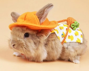 pet bunny accessories
