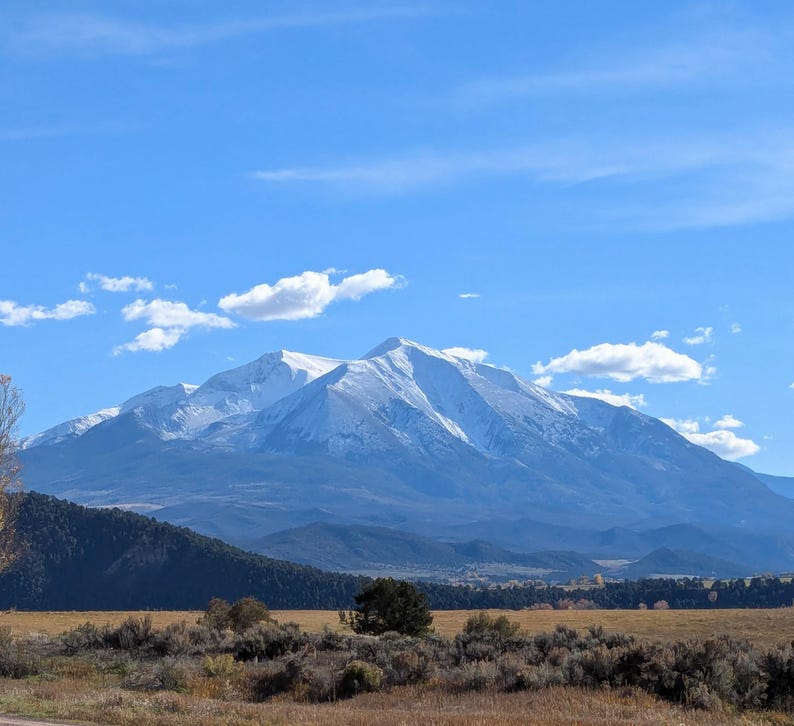May include: A scenic landscape featuring a snow-capped mountain under a bright blue sky with scattered clouds. The foreground shows a field of dry grass and shrubs, with a dark green forested area on the left.