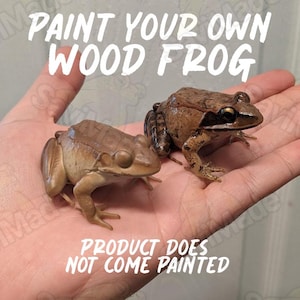 May include: Two small wooden frog figurines, one plain and one with detailed brown markings. The text at the top reads PAINT YOUR OWN WOOD FROG and the text at the bottom reads PRODUCT DOES NOT COME PAINTED. These are unpainted wooden crafts.