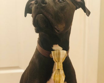 Gold Plaid Dog Neck Tie, Cat Neck Tie, Over the Collar Neck Tie