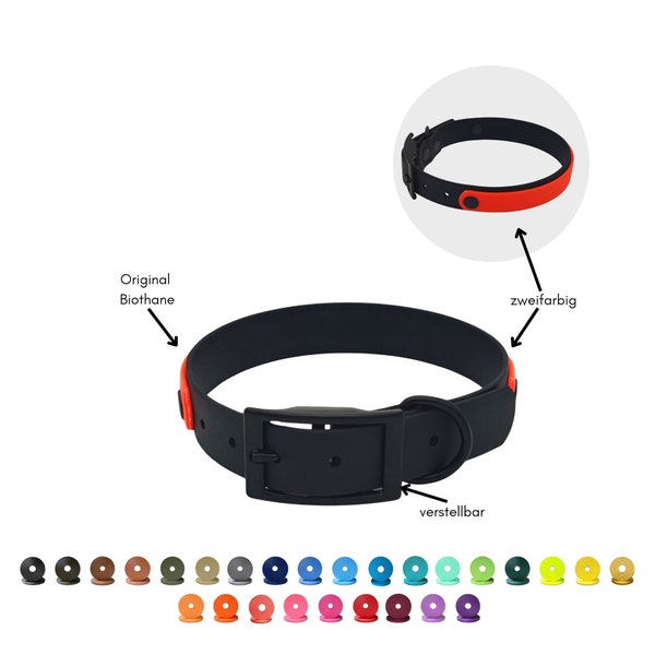 Biothane Dog Collar Combi | Bicolor | width 25 mm | accent in 19 mm | Pin Buckle | adjustable | double bar buckle