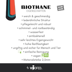 Biothane Umhängeleine 13mm & 19mm breit Freihandleine Hands-free auch für grosse Hunde geeignet versch. Farben 2m 2,5m 3m Bild 9