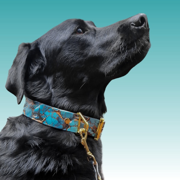 UV printed Biothane collar | Collar with designs Marble Roses Forest Mountains Foxes Raccoons Camo Galaxy Maritime