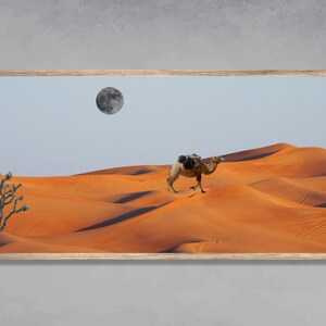 May include: A camel walks across a desert landscape with a full moon in the sky. The sand dunes are a vibrant orange color.