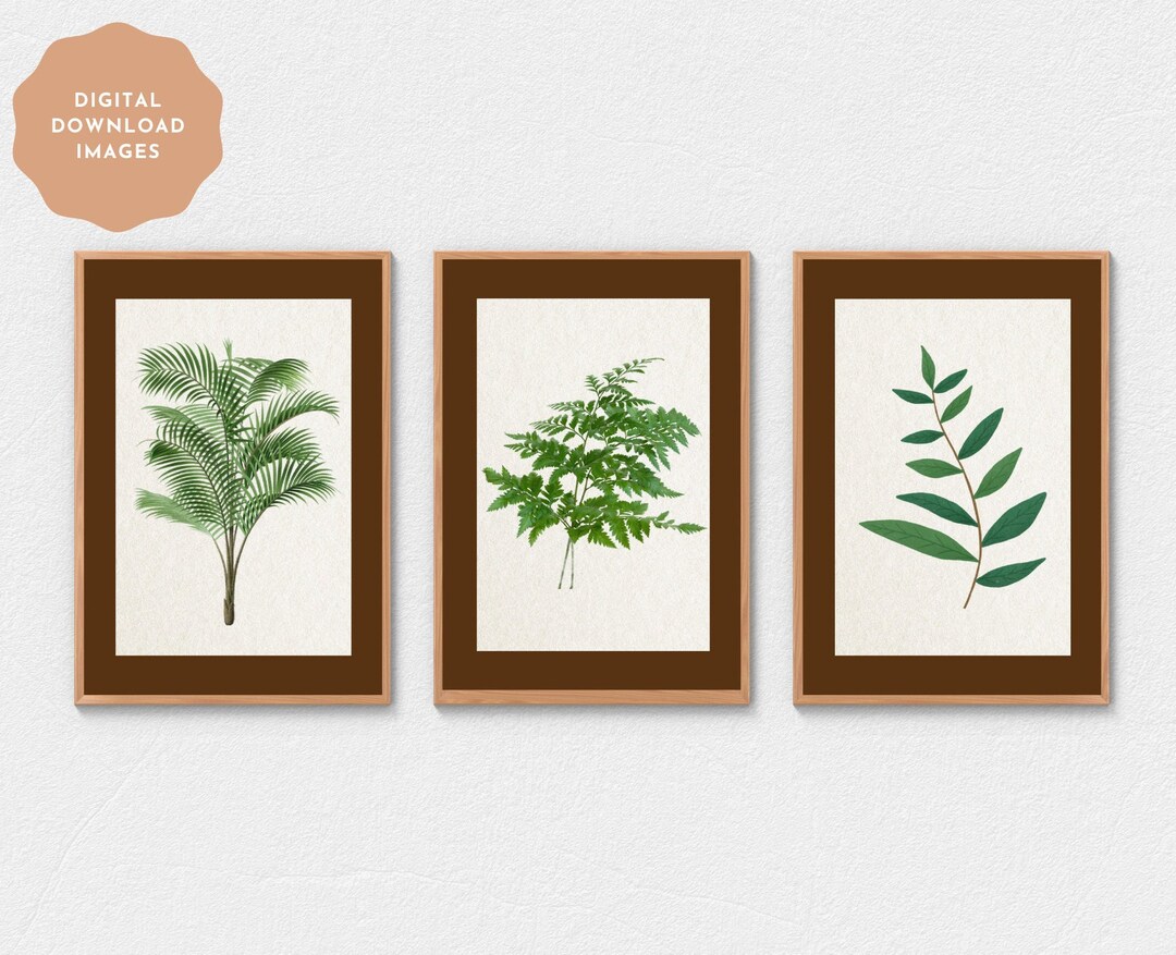 Plant Wall Decor | Set of 3 Prints | Botanical | Nature | Green Leaves ...