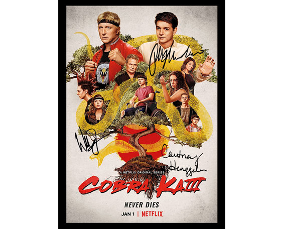 Cobra Kai Original Netflix Poster