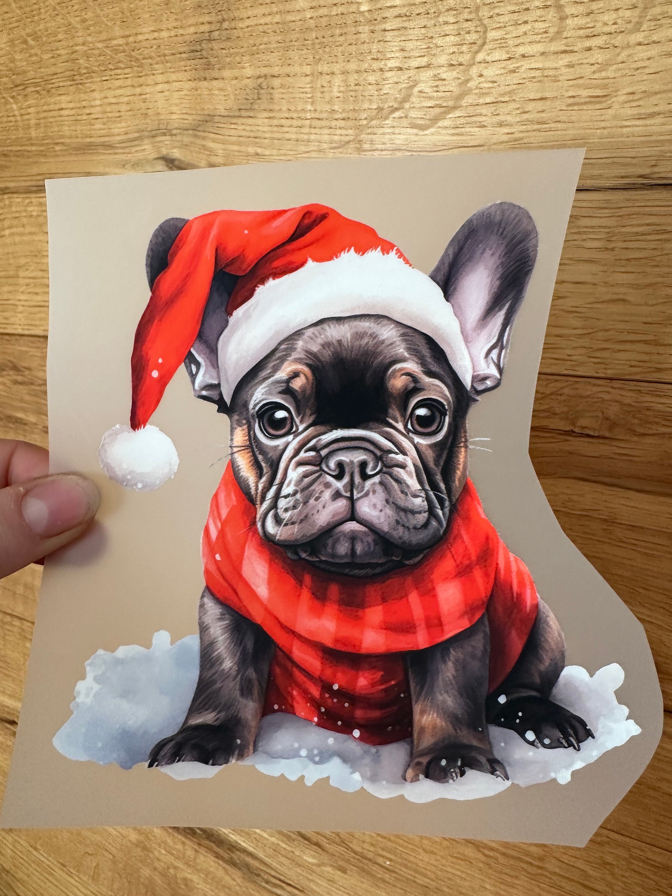 Bulldogge weihnachten - .de