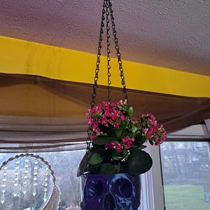 Hanging skull planter