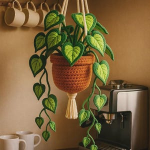 May include: A handmade crochet hanging planter with a trailing plant. The planter is a warm orange color, and the plant features green heart-shaped leaves with a lighter green border. The hanging ropes are white, and the plant pot has a cream-colored tassel.
