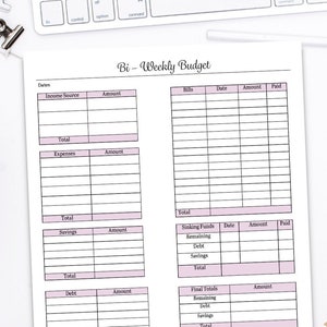 12 Month Pink Monthly Budget Planner, Financial Journal,monthly Budget  Sheet, Paycheck Budget,biweekly Budget,finance Binder,budget Planning -   Norway