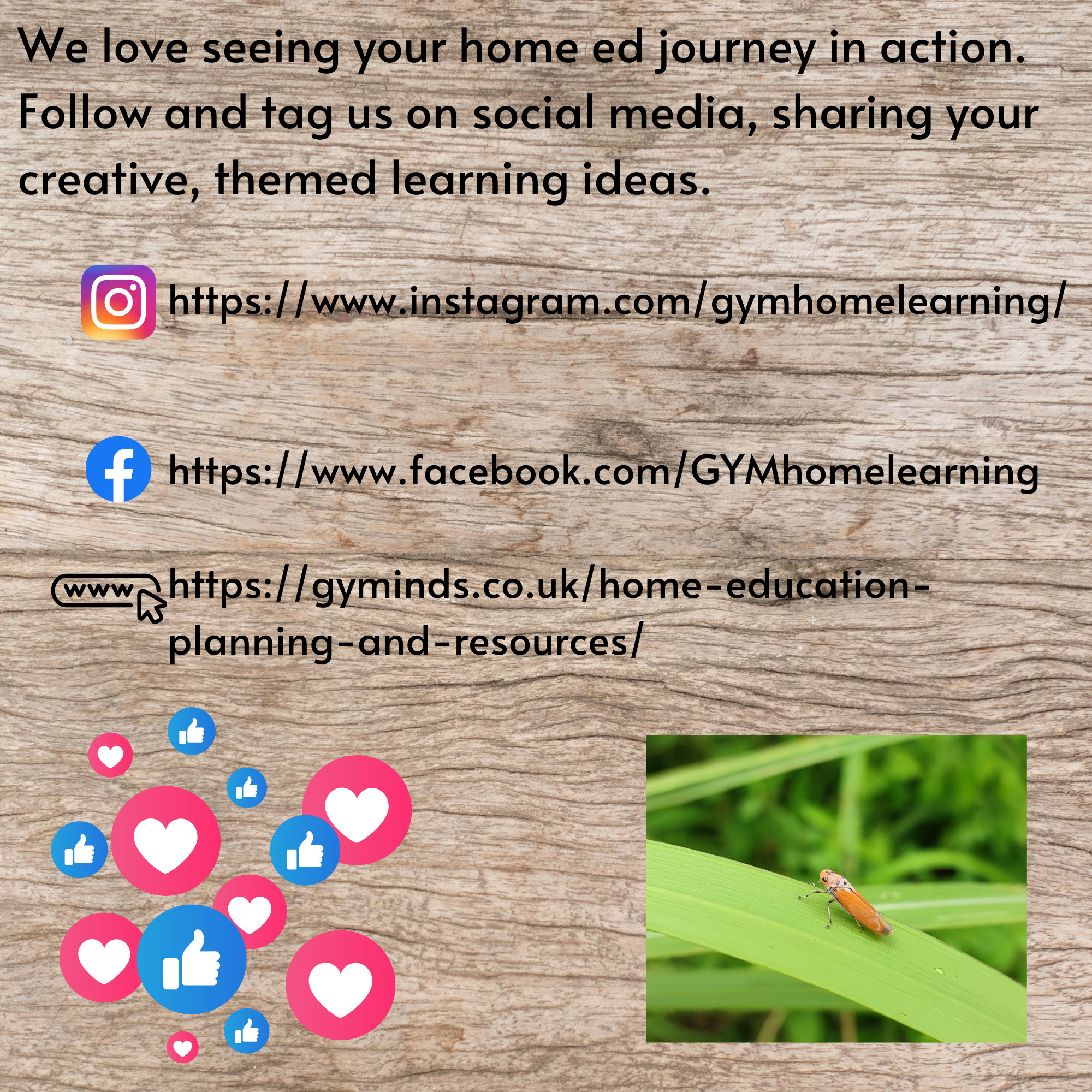 1000 Hours Outdoors Colouring Activity Sheet Home Education or Home