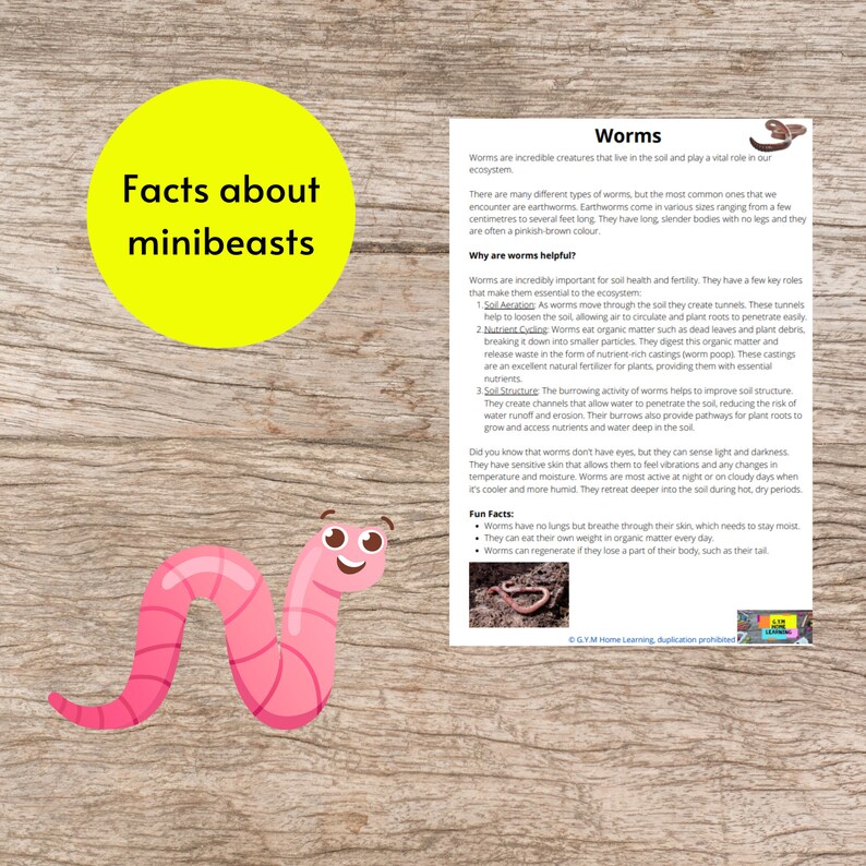 Insect and Bug Activities Printable Minibeast Unit Study Earthworm and ...